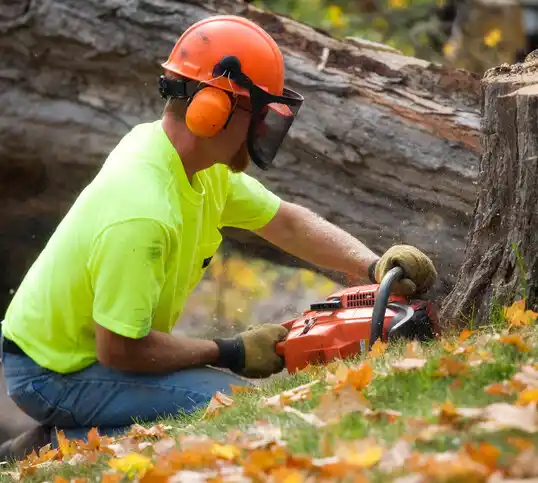 tree services Webb City